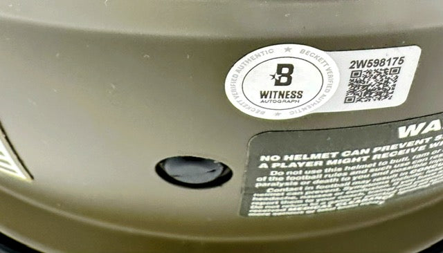 Helmet: Tennessee Titans - Chris Johnson